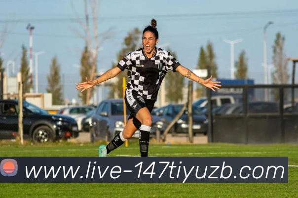 147体育直播平台生态图