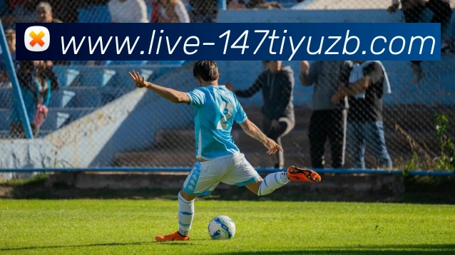 147体育直播全站App